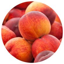 Frutta